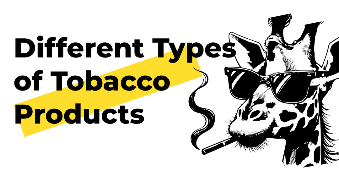 Understanding Different Types of Tobacco Products